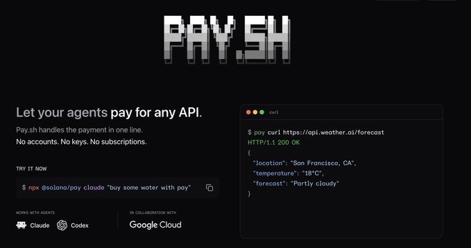 "Paysh" is written as a block letter above the screen, which is also displayed below the title. Below the screen, there are several options related to payment services provided by Paysh. The largest option shows an overview of what they offer for APIs that facilitate payments and transactions. There's also information about Google Cloud Platform, GCloudPayments, Paypal, and other related services.