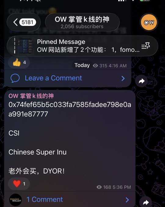 A screenshot from the "OW 掌管 k 线的神" Telegram channel (2,056 subscribers) features a pinned message about new OW website features alongside a post promoting "CSI Chinese Super Inu" with the contract address 0x74fef65b5c033fa7585fadee798e0aa991e87777, noting "老外会买, DYOR!" (foreigners will buy, do your own research) with 168 views and 1 like.