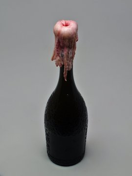 A dark wine bottle stands with a pink, fleshy, tooth-like form emerging from its cork, the organic growth dripping down the neck like biological decay—visually reflecting the post's theme of "CHAMPAGNE" as an organic biological medium where living tissue has overtaken the bottle's opening.