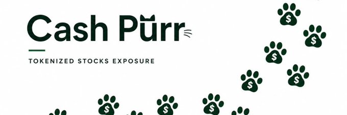 A minimalist white banner displaying 'Cash Pùrr - Tokenized Stocks Exposure' alongside green paw prints containing dollar signs.