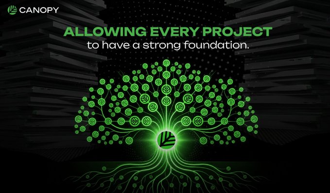 A dark graphic for Canopy featuring a stylized green tree with branching roots and canopy, set against a backdrop of stacked dark rectangular blocks, with the headline "ALLOWING EVERY PROJECT to have a strong foundation." The imagery visually echoes the post's critique by contrasting the tangled, layered complexity of current L2/bridge infrastructure with Canopy's vision of a clean, unified foundational structure for every project.