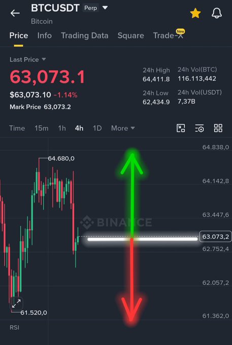A Binance BTCUSDT trading chart shows Bitcoin at $63,073.1 (-1.14%) with a large green up arrow and red down arrow indicating market volatility.
