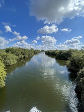 A scenic view of a calm river winding through lush green trees under a blue sky with scattered clouds, taken from a boat.