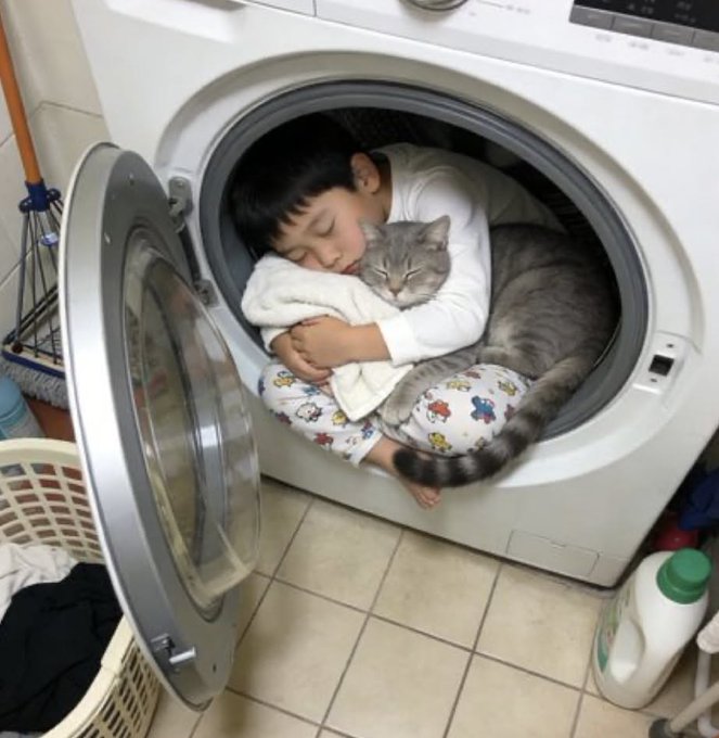A young child sleeping peacefully inside a front-loading washing machine while cuddling a gray tabby cat.