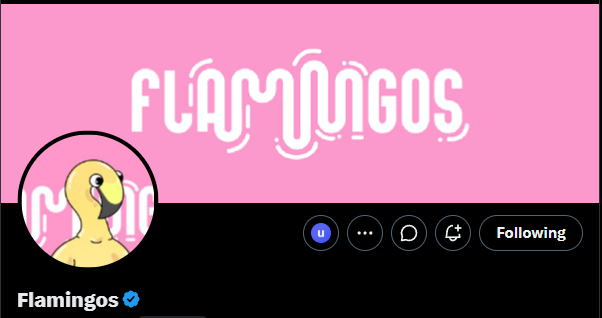A social media profile banner for 'Flamingos' with a pink top half featuring a stylized logo and a black bottom half displaying the account name, a yellow duck avatar, and a 'Following' button.