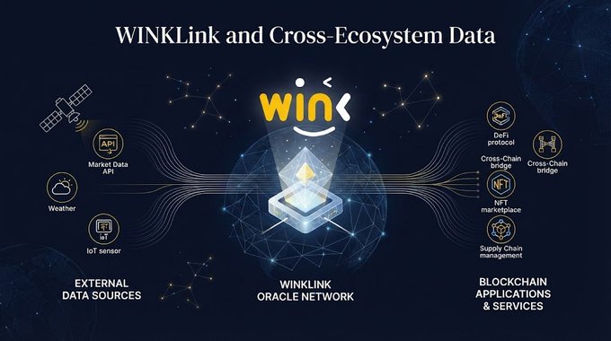An infographic titled 'WINKLink and Cross-Ecosystem Data' illustrates the WinkLink Oracle Network connecting external data sources (Market Data API, Weather, IoT sensor) to blockchain applications and services (DeFi protocol, Cross-Chain bridge, NFT marketplace, Supply Chain management).