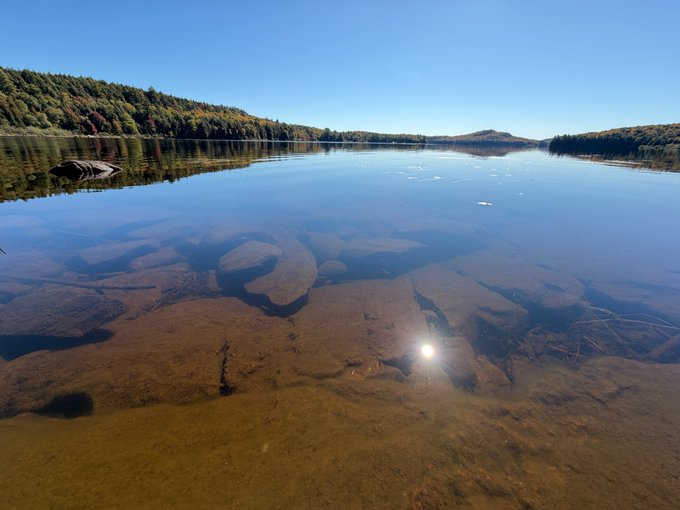 A serene lake with clear water revealing rocks and lily pads beneath the surface, bordered by forested hills under a bright blue sky, with sun reflecting on the water.