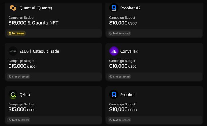 The image shows a dashboard of campaign options from Wallchain, with the only "In review" campaign belonging to Quaint AI ($Quants) offering $15,000 & a Quants NFT, while all other campaigns including Prophet #2, ZEUS, Convallax, Qzino, and Prophet remain "Not selected" with budgets ranging from $10,000-$15,000 USDC. This relates to the post expressing frustration about not being selected for any Wallchain campaigns despite investments in Quack Heads NFTs, suggesting disillusionment with the platform's selection process and overall value.