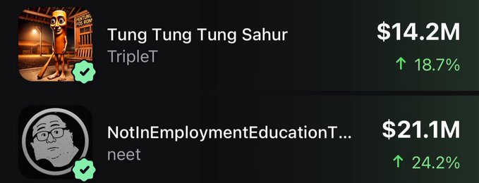 Two meme tokens are displayed with strong gains: **$TRIPLET** ("Tung Tung Tung Sahur") at $14.2M, up 18.7%, and **$NEET** ("NotInEmploymentEducationTraining") at $21.1M, up 24.2%. The image visually supports the post's claim that both tokens are pumping, reinforcing the optimistic sentiment about their future potential.
