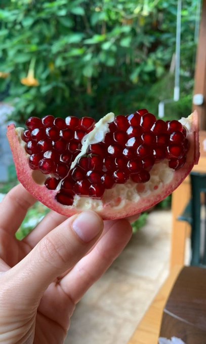 A hand holding up a halved pomegranate, revealing its bright red, glistening seeds against a blurred background of green plants.
