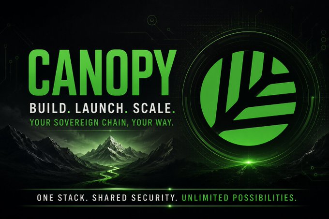 A promotional banner for "CANOPY" featuring the tagline "BUILD. LAUNCH. SCALE. YOUR SOVEREIGN CHAIN, YOUR WAY." with additional text "ONE STACK. SHARED SECURITY. UNLIMITED POSSIBILITIES." alongside a green circular leaf logo.