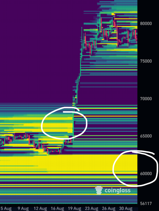 A Bitcoin liquidation heatmap from Coinglass dated August 5-30, with the y-axis showing price levels from 56,117 to 80,000+ dollars, highlights dense liquidation clusters circled in white near the 62,000-60,000$ range and around 68,000$, illustrating the stark contrast in liquidation volume between these two price zones.