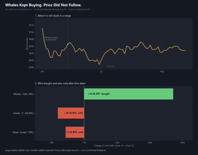 A CryptoQuant chart titled "Whales Kept Buying. Price Did Not Follow." showing Bitcoin's price stuck in a roughly $58k–$68k range from June 14 to August 13, with whales (100+ BTC wallets) accumulating +54.4k BTC while sharks (-16.1k) and retail (-11.3k) sold during the period. The data visually supports the post's thesis that despite continued whale buying since the June U-turn, Bitcoin remains range-bound around $62–65k, suggesting absorption rather than breakout.