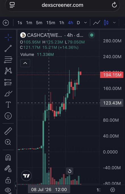 A mobile screenshot from dexscreener.com showing a candlestick price chart for 'CASHCAT/WE...' with a significant price increase over a 4-hour timeframe.