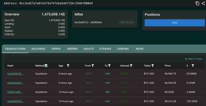 A cryptocurrency tracking interface showing an overview with 1,462,608.14$ total and a transactions log displaying liquidation entries for BTC-USD pairs.