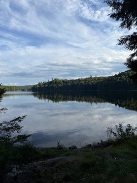 A serene landscape photograph shows a calm lake perfectly reflecting a blue, cloudy sky and a distant tree-lined shore, with foliage framing the edges.