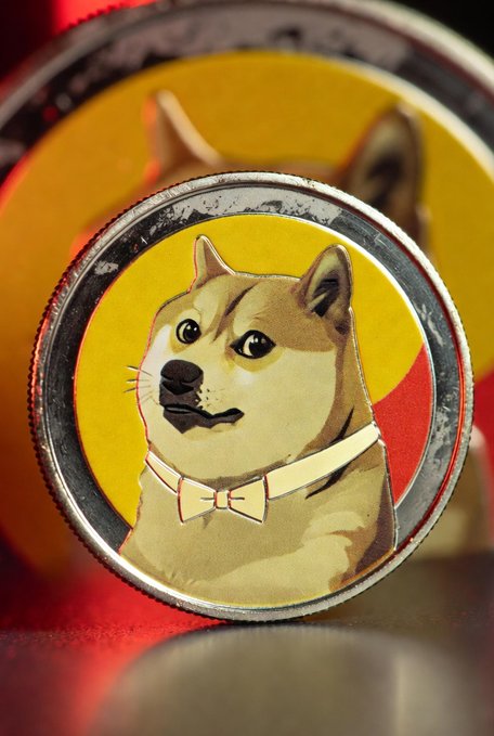 A close-up of a Dogecoin cryptocurrency coin displays the iconic Shiba Inu dog wearing a bow tie.