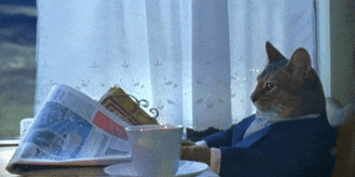 Photograph of a cat sitting at a table wearing a dark jacket, appearing to read a newspaper next to a teacup, in a humorous staged scene.