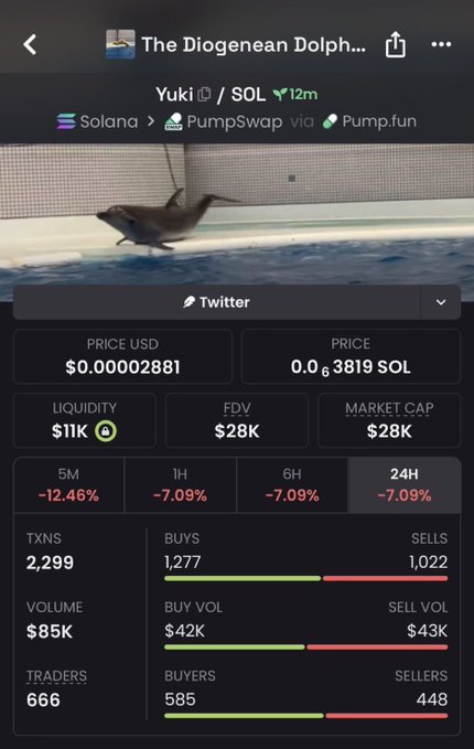Trading interface for 'The Diogenean Dolph...' token (Yuki/SOL) on Solana/PumpSwap, showing a price of $0.00002881, market cap of $28K, and negative price changes across all timeframes.