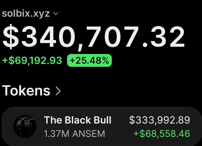 The image shows a trading wallet on solbix.xyz valued at $340,707.32, up $69,192.93 (+25.48%), with the featured holding being "The Black Bull" (1.37M $ANSEM tokens) worth $333,992.89, illustrating the post's claim of turning a $5,030 investment into a ~65x profit on the $Ansem token.