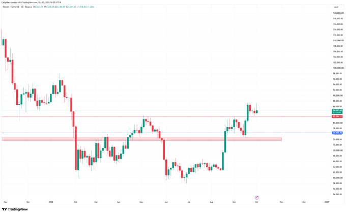 A Bitcoin/USD daily candlestick chart on TradingView displays price action with a key support zone highlighted in pink/red around the $79,000–$80,500 area and resistance marked near $87,000, supporting the analyst's view of building positions gradually within a bullish uptrend structure despite BTC's failed breakout attempt.