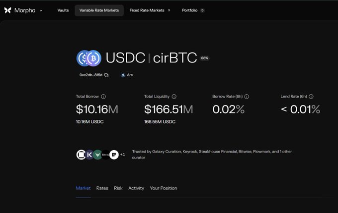 A screenshot of the Morpho DeFi platform interface displays market details for the "USDC | cirBTC" vault on the Base network, showing a Total Borrow of $10.16M and Total Liquidity of $166.51M.