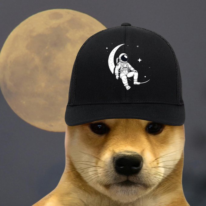 A Shiba Inu wears a black trucker cap featuring an embroidered astronaut sitting on a crescent moon with stars, set against a backdrop of a large full moon—evoking the post's "target acquired" with a celestial, space-themed vibe.