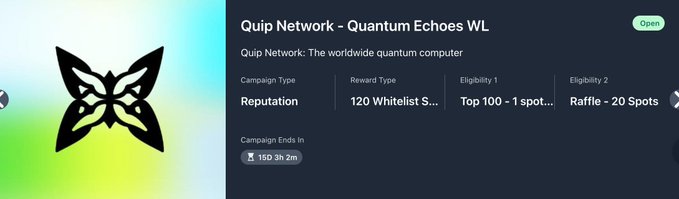 "The @quipnetwork Quantum Echoes NFT collection isn't just scarce, it's historically significant."