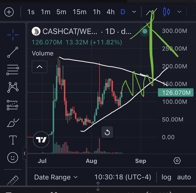 A TradingView chart of the CASHCAT/WE memecoin on the daily timeframe shows a price of 126.070M with 13.32M (+11.82%) gains, displaying a clear ascending triangle pattern with higher lows consolidating against resistance around 150M, supporting the bullish sentiment behind the "We like the fucking cat $CASHCAT" post.