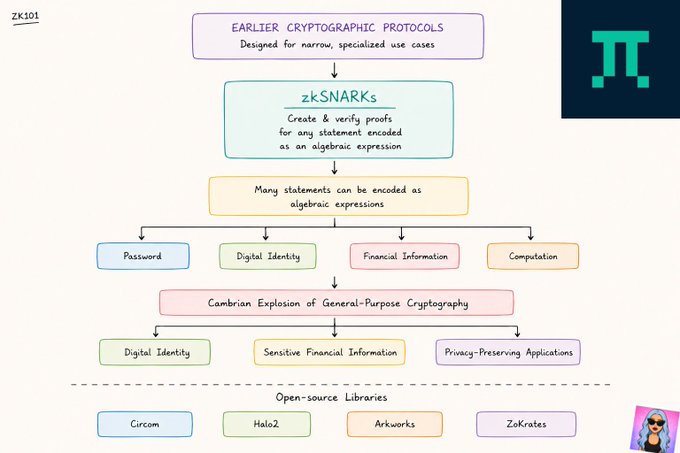 The image is a flowchart titled "Zk101" illustrating how earlier cryptographic protocols evolved into zkSNARKs (which "create & verify proofs for any statement encoded as an algebraic expression"), enabling a "Cambrian Explosion of General-Purpose Cryptography" applied to passwords, digital identity, financial information, and computation—with supporting open-source libraries including Circom, Halo2, Arkworks, and Zokrates. It visually answers the post's question by showing that algebraic encoding allows zkSNARKs to prove knowledge of a password without revealing it, alongside broader applications in digital identity, sensitive financial data, and privacy-preserving computation.
