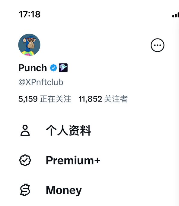 The image shows an X (Twitter) profile for "Punch" (@XPnftclub), a verified account with 11,852 followers featuring menu options for "个人资料" (Profile), "Premium+," and "Money," suggesting it is a paid crypto/DeFi product. This aligns with the post's reference to a tool with hundreds of thousands of users that appears comparable to or fancier than GMGN, likely being marketed as a premium crypto trading utility.