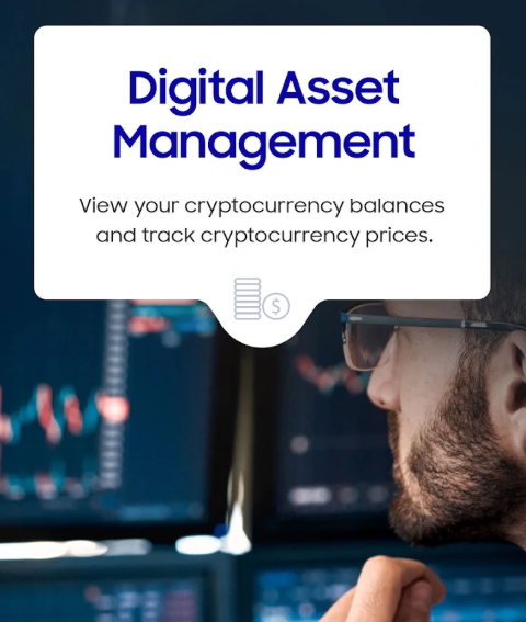 Samsung Wallet's new Digital Asset Management feature, as shown in the image, allows Galaxy users to view cryptocurrency balances and track crypto prices directly within the app.