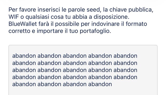 An Italian-language interface for BlueWallet asks the user to enter seed words, public key, WIF, or other available data to import their wallet.