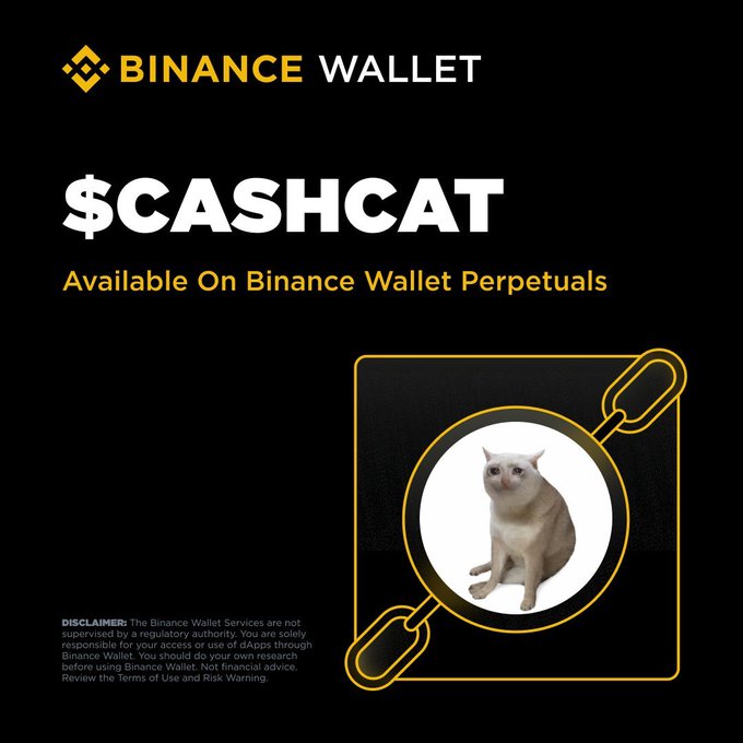 A promotional graphic for the Binance Wallet Perpetuals platform featuring the '$CASHCAT' token, displaying a cat inside a magnifying glass design with the Binance Wallet logo and disclaimer text at the bottom.