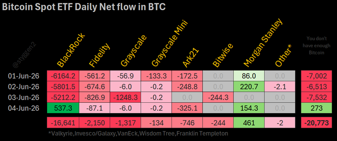 The image shows a table with various names of ETFs listed, including Bitcoin Spot, Bitcoin ETF Daily Net Flow in BTC, Bitcoin ETF Daily Net Flows, Bitcoin ETF Daily Net Flows in Btc, Bitcoin ETF Daily Net Flows in Btc Exceptions, and Bitcoin ETF Daily Net Flows in Btc. The table displays the number of BTC flows for each ETF over a period of time, with the first row showing the flow amounts from January to June, and the second row displaying the flow amounts from June to December.