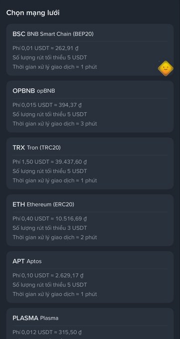 A Vietnamese-language menu titled 'Chọn mạng lưới' listing cryptocurrency networks and fees including BSC (BNB Smart Chain BEP20), OPBNB, TRX (TRC20), ETH (ERC20), APT (Aptos), and PLASMA.