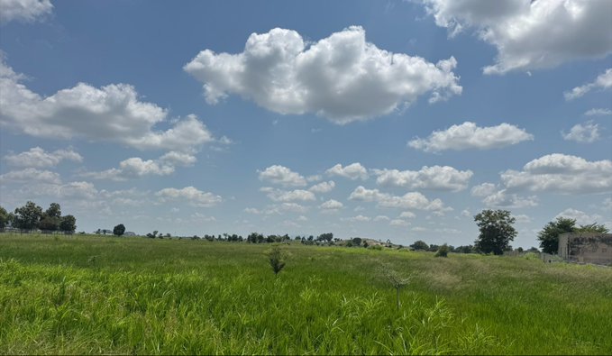 A vast green meadow stretches beneath a bright blue sky scattered with fluffy white clouds, with distant trees and small buildings lining the horizon—capturing the serene, open charm of nature's beauty.