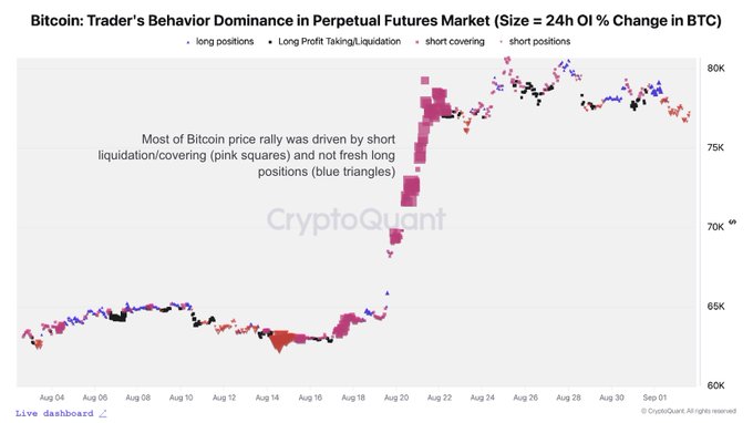 A CryptoQuant chart showing Bitcoin's 24-hour Open Interest % change in perpetual futures from August 6 to September 1, with price climbing from ~$63K to ~$80K, dominated by pink squares representing short liquidations and covering rather than new long positions. The chart visually supports the post's claim that BTC's 24% rally was primarily driven by shorts covering their positions rather than fresh bullish demand from new buyers.