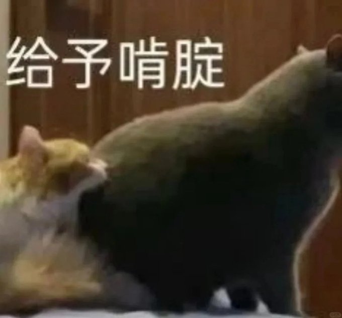 A blurry meme image showing a cat appearing to perform a sexual act on another cat, with Chinese text '给予啃脍' (which roughly translates to 'give oral pleasure') overlaid on the image.
