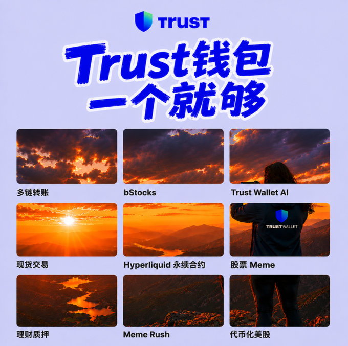A promotional graphic for "Trust 钱包" (Trust Wallet) reads "一个就够" (One is enough) and displays nine feature tiles with Chinese labels including "多链转账" (Multi-chain transfer), "bStocks", "Trust Wallet AI", "现货交易" (Spot trading), "Hyperliquid 永续合约" (Hyperliquid Perpetual Contracts), "股票 Meme" (Stock Memes), "理财质押" (Financial staking), "Meme Rush", and "代币化美股" (Tokenized US stocks).