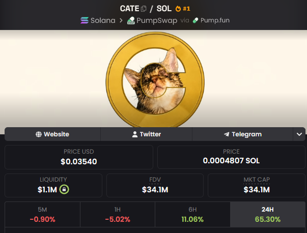 The image shows a cryptocurrency price tracker for the $CATE token on the Solana blockchain, featuring a coin logo with a cat inside a "C" design, displaying key metrics including a price of $0.03540 (0.0004807 SOL), $1.1M liquidity, $34.1M market cap, and a strong 65.30% gain over 24 hours. This bullish 24-hour performance aligns with the post's optimistic sentiment about $CATE's community-driven momentum and the prediction that the token deserves to reach a 100M market cap to match its "OG narrative" potential.