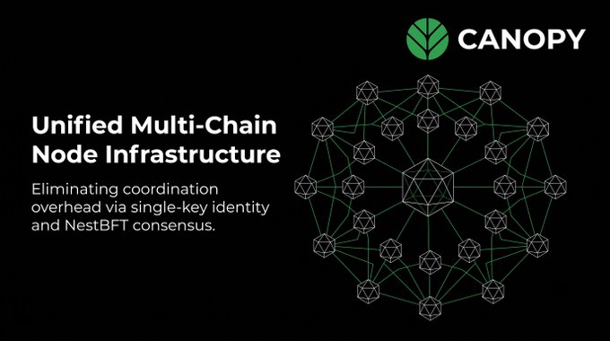 A promotional graphic for 'Canopy' featuring the tagline 'Unified Multi-Chain Node Infrastructure' with a description about eliminating coordination overhead via single-key identity and NestBFT consensus, alongside a network diagram of interconnected nodes.