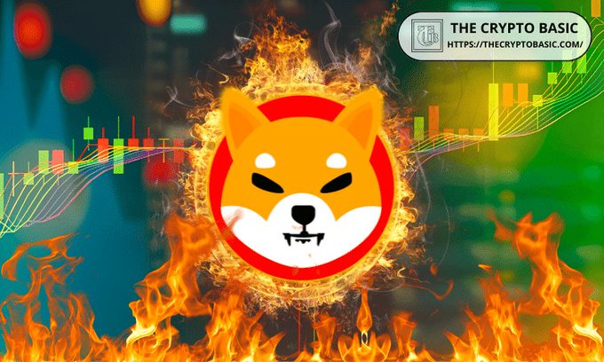 The image features the Shiba Inu logo engulfed in flames against a backdrop of candlestick charts, visually representing the surge in SHIB burn rate, with "The Crypto Basic" branding and "https://thecryptobasic.com/" displayed in the top right corner. The fiery imagery reinforces the post's theme of burning 39.32 million SHIB tokens, which drove the weekly burn rate up 55.77%.