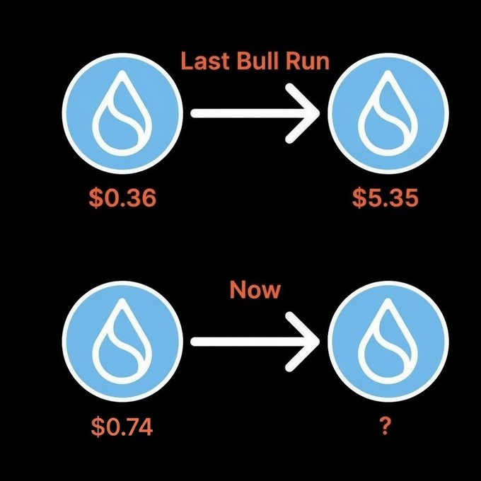 An infographic comparing the Last Bull Run (token price going from $0.36 to $5.35) with the current price of $0.74 and an unknown future price marked with a question mark.