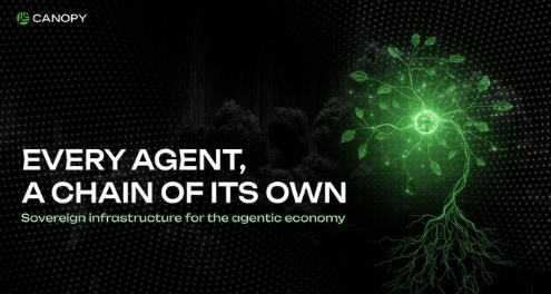 The image features a poster with a green tree growing from its roots, surrounded by a network of lines. The text on the poster reads "Every Agent, A Chain of Its Own", which suggests that the poster is promoting decentralization or blockchain technology. The poster also mentions "Sovereign Infrastructure for the agitator economy". This implies that the poster might be related to a project called @CNPYNetwork, which could be about building infrastructure for the agitator economy using blockchain technology and decentralized networks.
