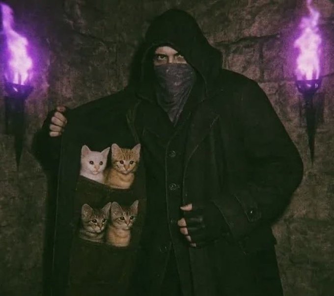 A hooded, masked figure resembling a ninja or assassin dramatically opens their dark coat to reveal four kittens peeking from the inner pockets, with purple torches flanking them against a stone wall. The whimsical image humorously imagines the Solana mascot "Solaxy" as a stealthy cat-deploying agent, playing on the "cat season" theme with an air of feline-focused mischief.