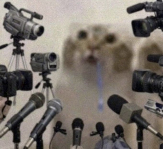 A blurry hamster sits surrounded by an array of cameras and microphones, drooling blue liquid, in a meme expressing overwhelmed public pressure.