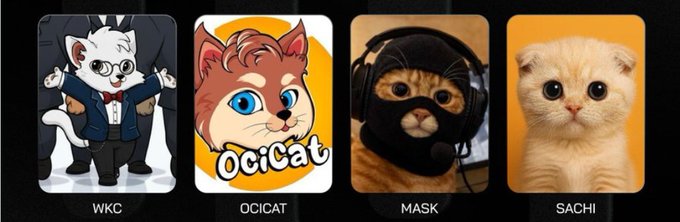 The image features four cat stickers, each with a different color and style, arranged vertically against a gray background. The cats are wearing headphones and masks, adding an element of fun and humor to their appearances. The caption below the image reads "The Cat-Themed Memecoin Battle is heating up! Which one gets your vote today? Like & RT to join the debate Which ecosystem has the strongest community and the most positive momentum this $JUNE #WKC".