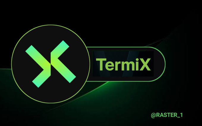 A stylized TermiX logo design featuring a circular emblem with a geometric 'X' symbol in green-to-teal gradient next to the word 'TermiX,' credited to '@RASTER_1' in the bottom right corner against a dark green background.