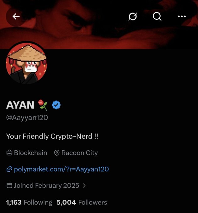 Twitter/X profile for "AYAN 🌹 ✅ (@Aayyan120)" with bio "Your Friendly Crypto-Nerd !!", located in "Blockchain / Racoon City", linking to polymarket.com, with 1,163 Following and 5,004 Followers.
